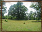 uredjenje-zelenih-povrsina-3